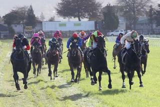 Storming The Tower (NZ) wins the Rotorua Cup. Photo Credit: Trish Dunell.